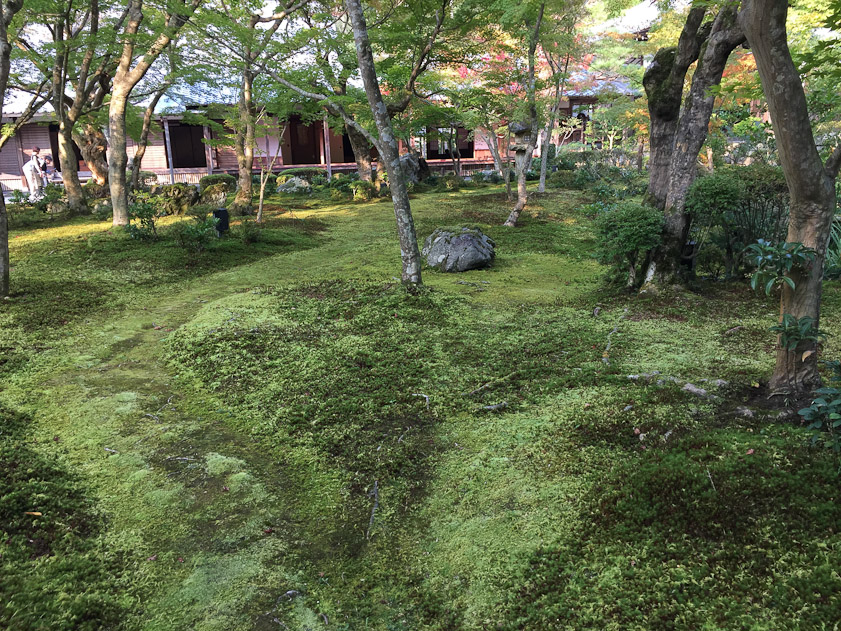 Moss garden at Enko-ji