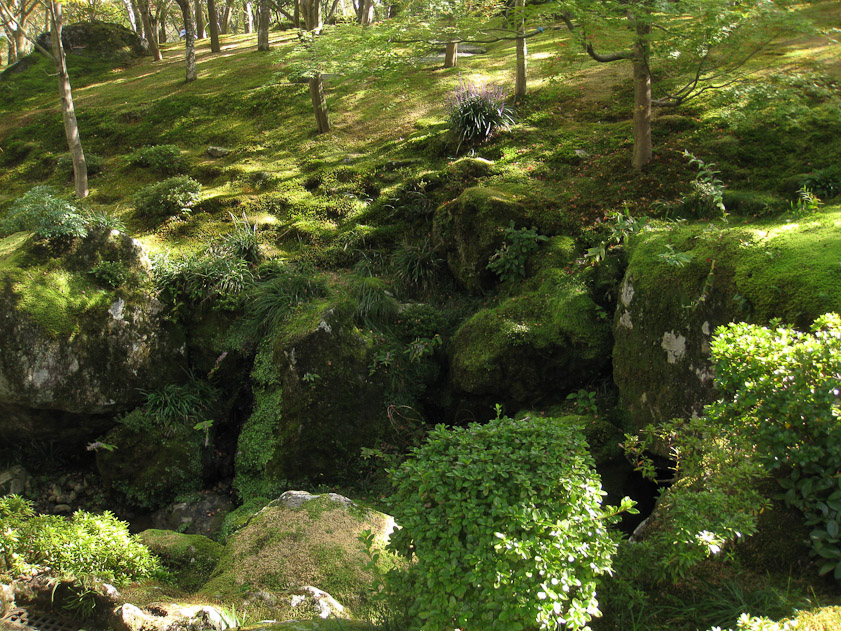 We took the cable car halfway to get to the Hakone Museum, where we saw this moss garden.