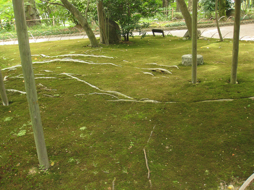 Moss at Oyamazaki Villa.