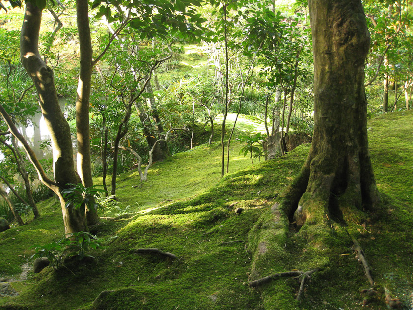 Moss garden at Enko-ji