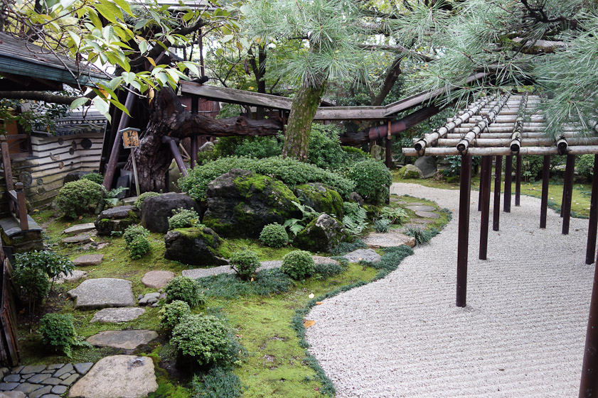 The venerable pine tree (planted early 20c) is proped up by crutches on the left and its long horizontal branch is shielded by a roof leading to the trellis.