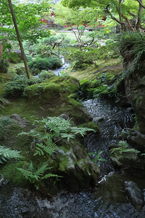 Stream in the garden.
