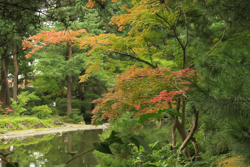Maples were just beginning to change color on October 3.