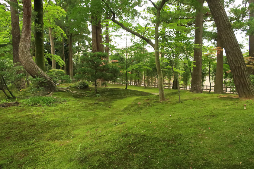 Taking care of this much moss must be a big chore.