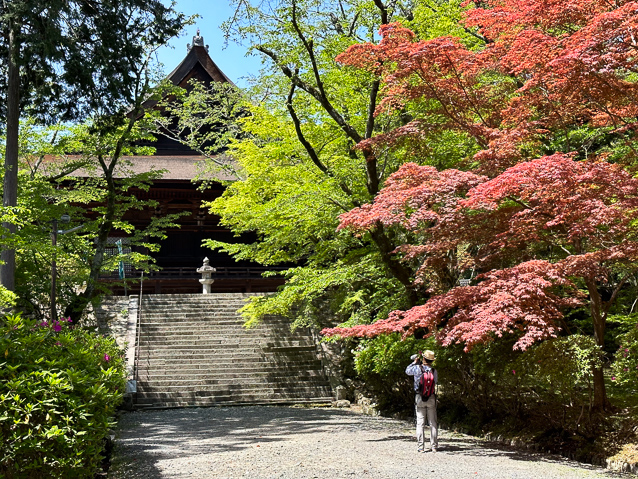 We didn't climb the steps to the Main Hall, but followed a road instead.