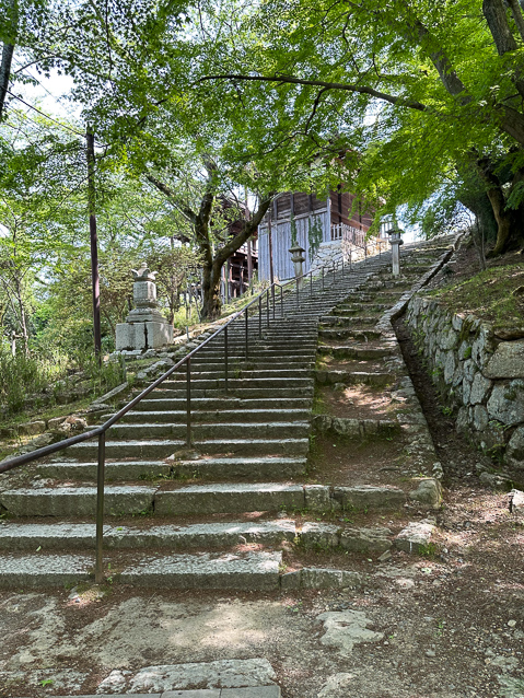 We came to Two long staircases, one going up to a lot more buildings...