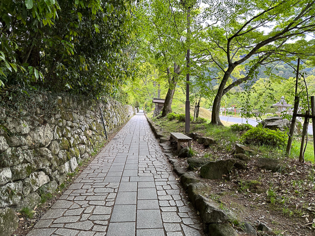 The path on the left side of the road was much clearer.