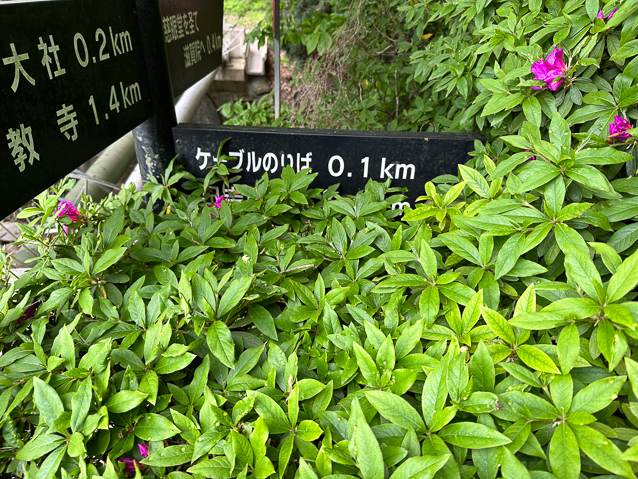 No wonder we missed the sign to the cable car!