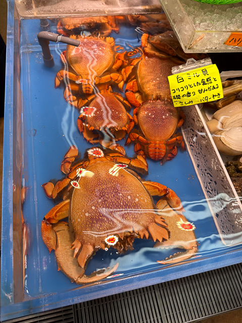 The seafood for sale was varied and appealing.