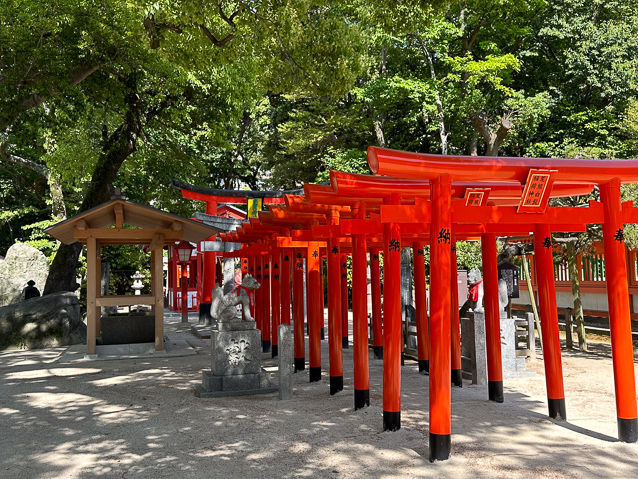 These torii were given by people to commemorate events: a birth, some good fortune.