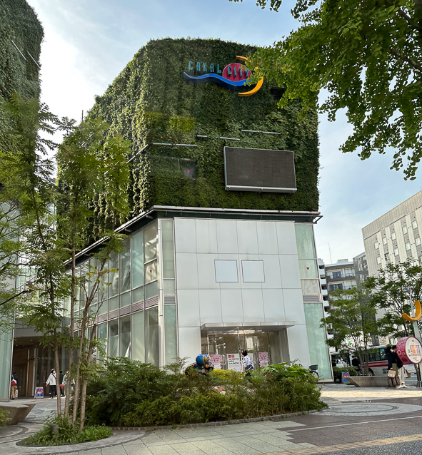 Seen from a taxi on our way back to the hotel frm Sumiyoshi shrine