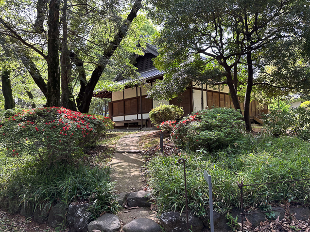 As well as artifacts in the TNM building,there is a garden where 5 historic teahouses have been relotaed. This is Okyokan, built in 1742 at a Tendai school of Buddhism in Owar province. The grounds have a large number of flowering shrubs and trees.