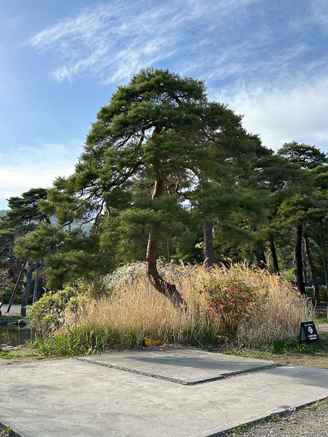 Back to the east side of the Main Hall after a little art and food.