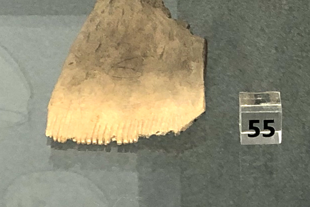 I impresses by the skill in making this bone comb in the Middle Bronze age. Also I wonder at why they needed it: to look better or to remove lice?