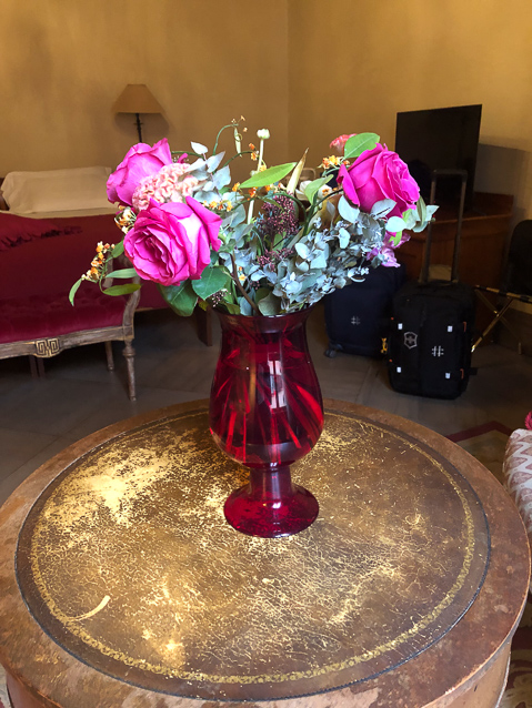 Mariana brought her flowers from Bologna.