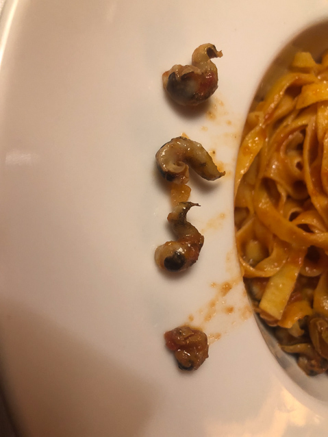 Sea slugs look  like snails.