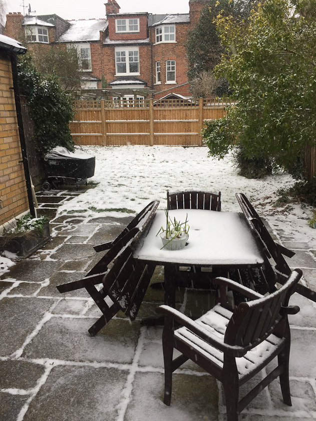 There was a dusting of snow in the Durbin's backyard in Muswell Hill.