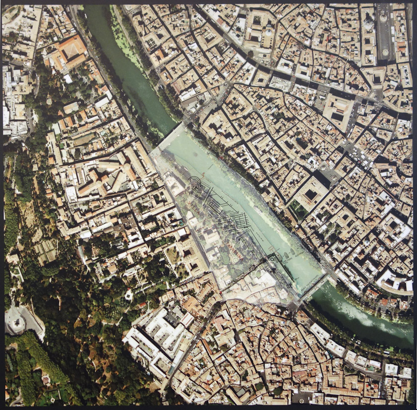 Aerial photo showing the area in which the Villa Farnese was found.