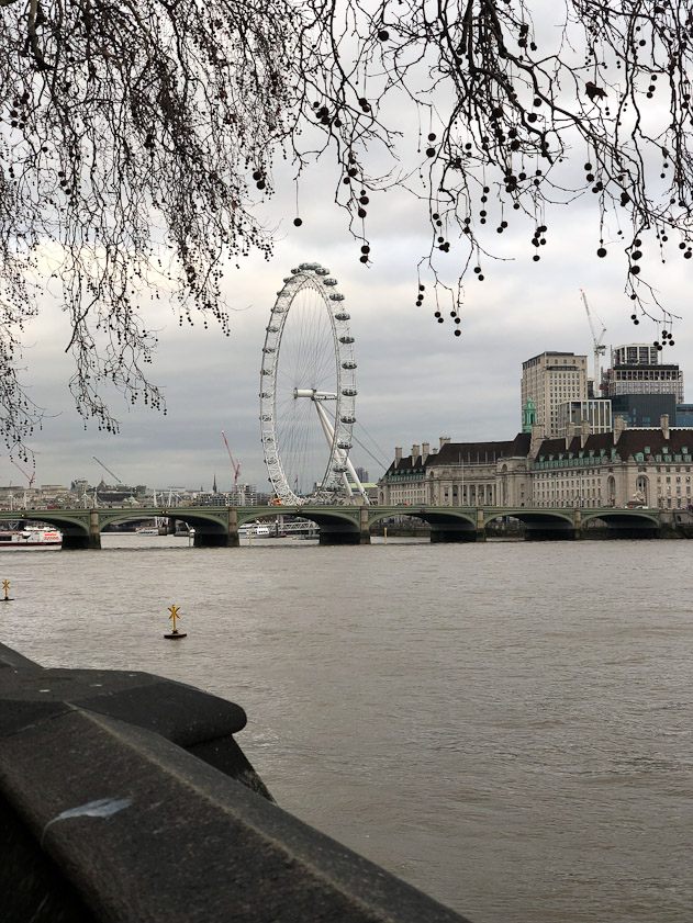 The ferris wheel built for the Millenium is on the right bank downstream of Westminster Bridge.