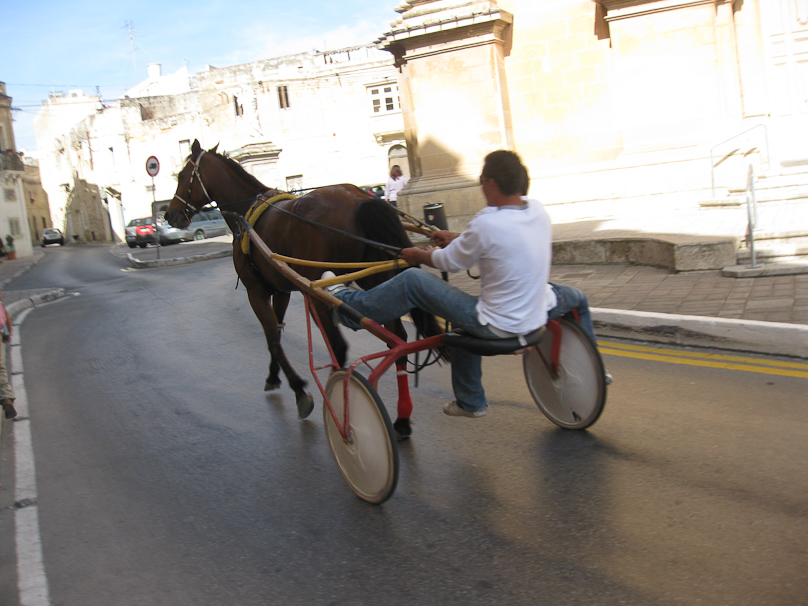We saw a number of such racing sulkies. This passed us outside Palazzo Parisio in Naxxar.