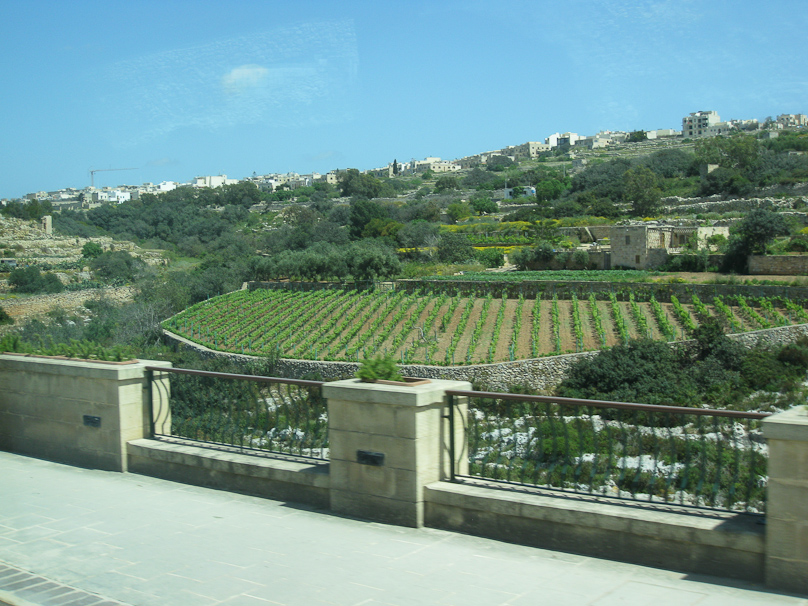 View from the bus