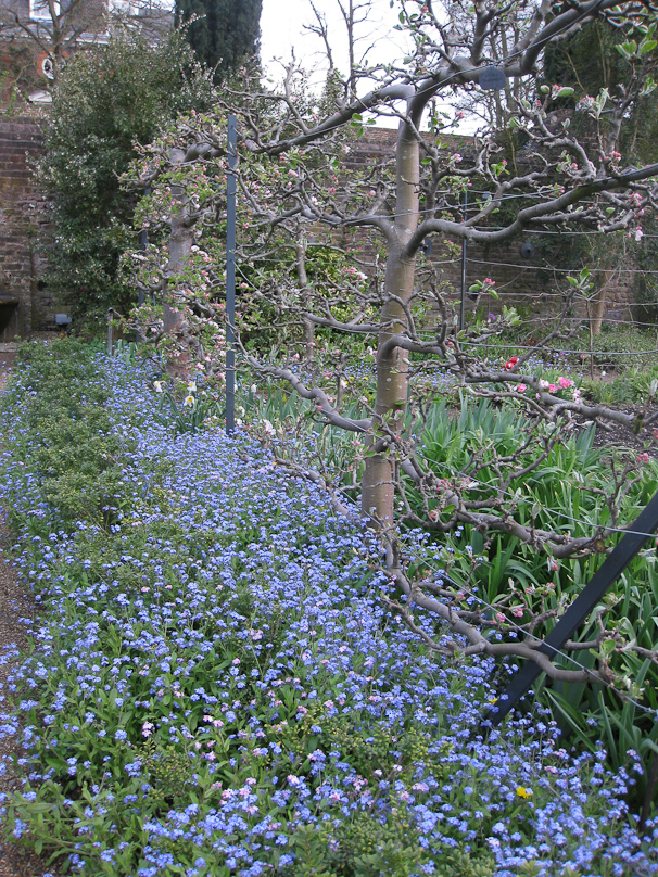 Fenton House garden