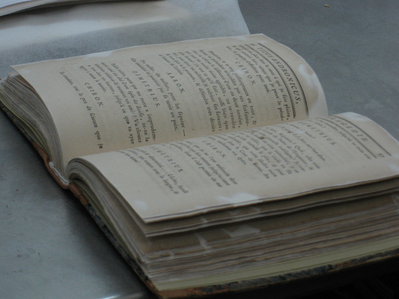 A conserved book, with new, white paper where bugs had eaten the old, tan paper.
