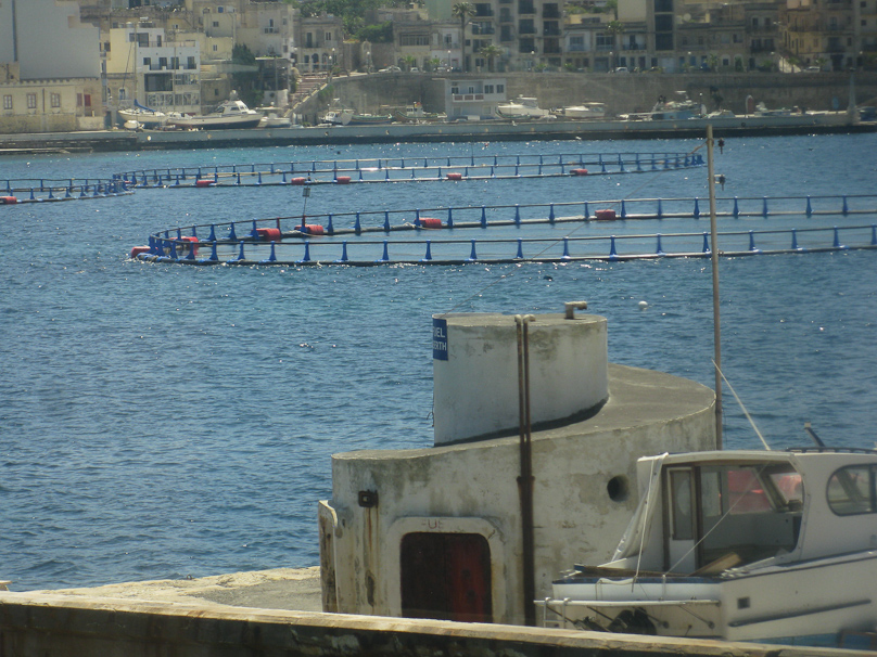 Some sort of fish farm at Xemxija on St. Paul's Bay