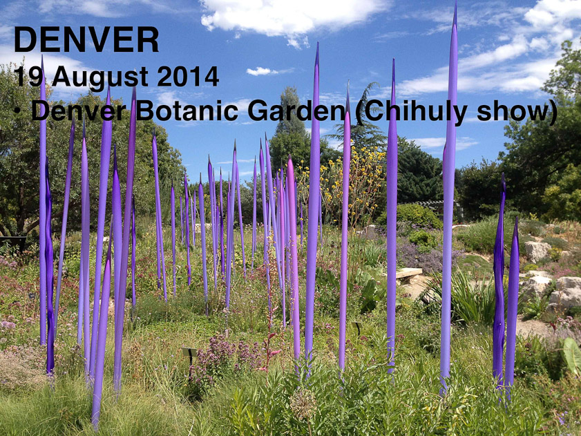 On the 18th we flew to Denver, and the next day we visited the Botanic Garden. We were surprised to see a large show of Dale Chihuly glass displayed in the garden, which was a much better setting for this work than we'd seen anywhere else, including the glass museum in Tacoma, WA.