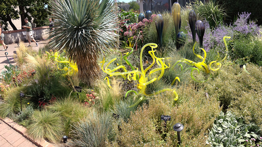 There were many glass pieces installed in the Perennial walk (B and 48).