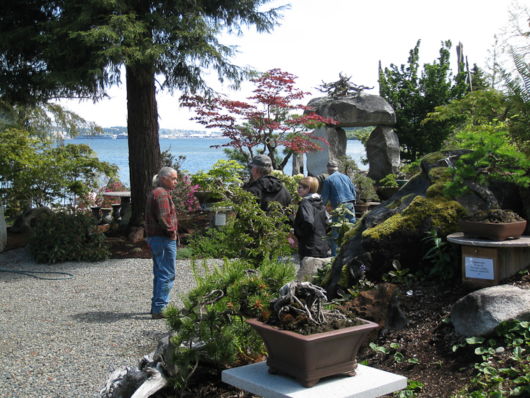 That's Dan Robertson with the ponytail, talking to visitors at his Elandan Gardens in Bremerton, across the bay from a large US Navy base.