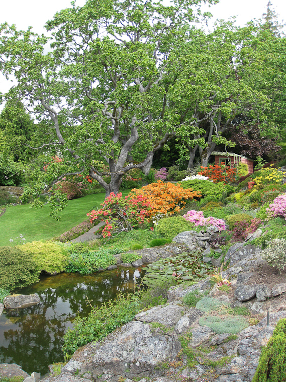 Abkhazi Garden .