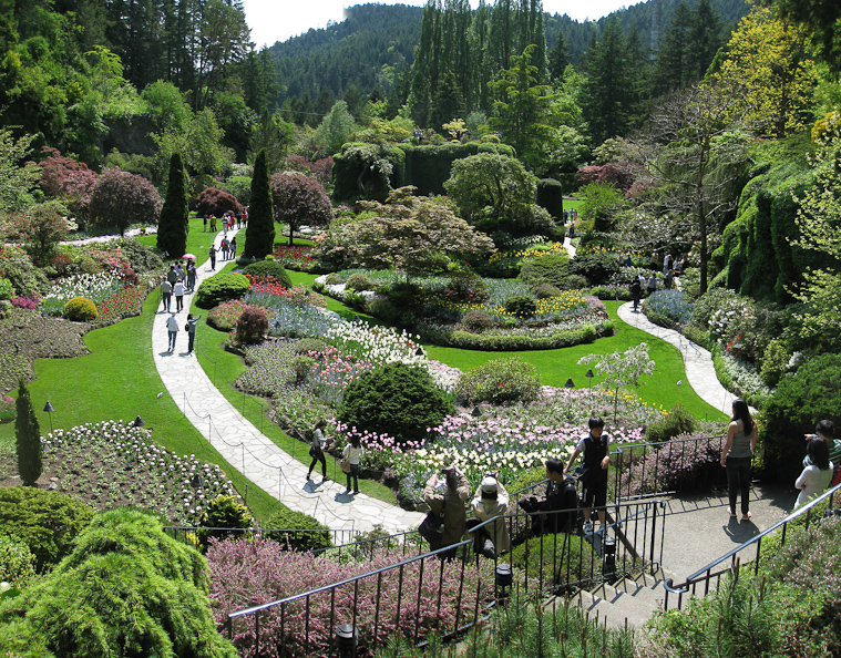 The Sunken Garden was built in an abandoned quarry, as was the finest feature of Butchart. The owners of Butchart quarried limestone and made cement. They are not a commercial nursery.