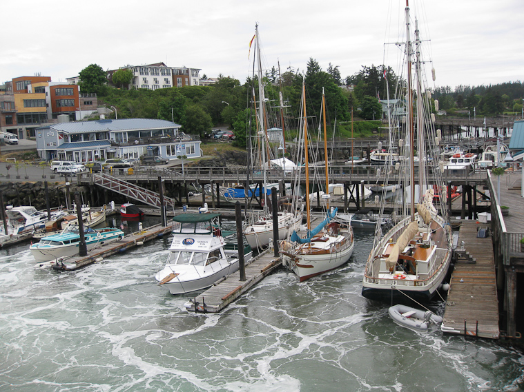 On the way from British Columbia to Washington via ferry, we stopped briefly at Friday Harbor, San Juan Islands, WA.