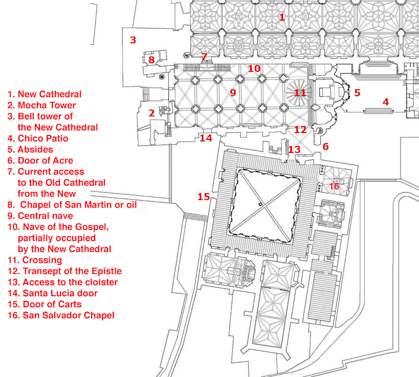Salamanca Cathedral is entered by a door on the north side (top in this plan) of the New Cathedral. The Old Cathedral is down several steps (7).