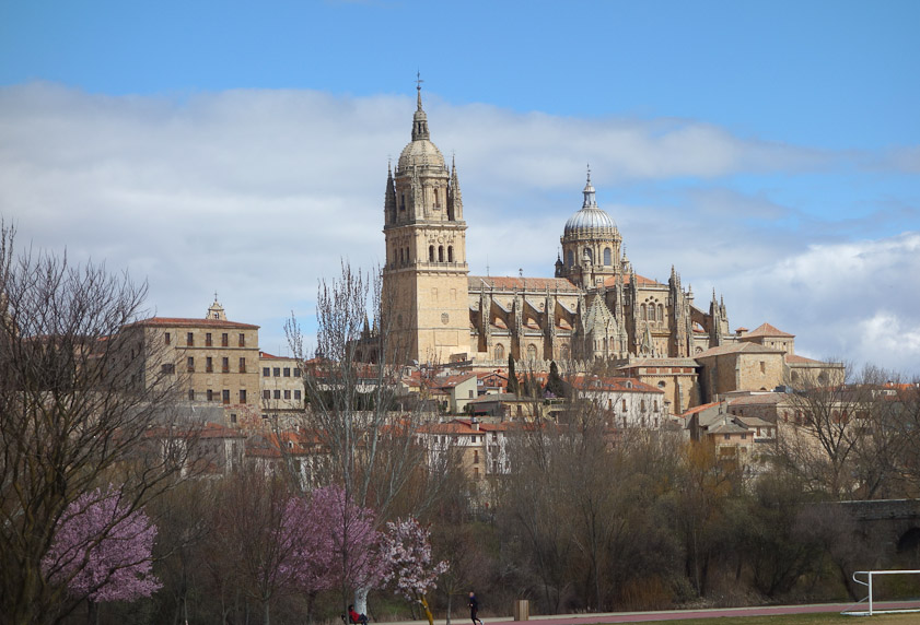 The cathedrals from across the Tormes, during a bus tour we took of Salamanca. You can see the knobby, conical tower of the Old Cathedral in front of the flying buttresses of the New Cathedral, which is above and beyond it.