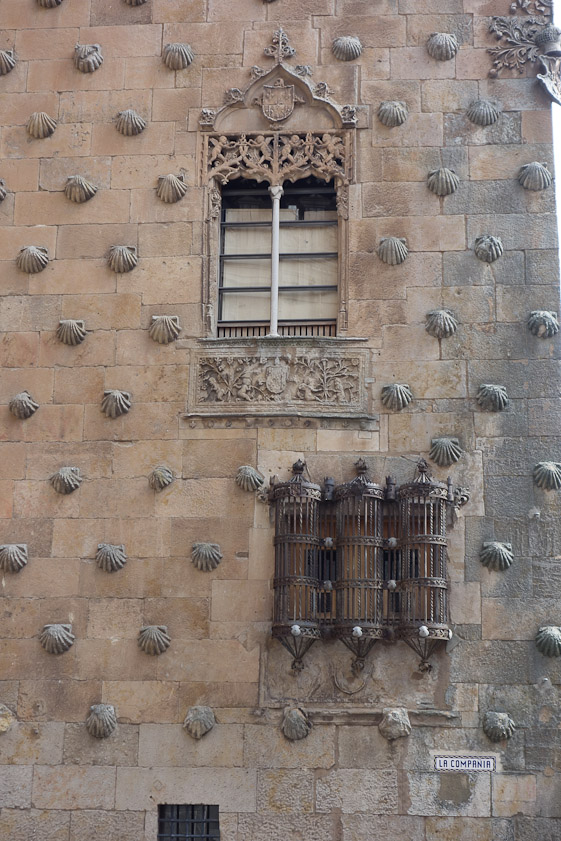Interesting window grill in the Casa de las Conchas.