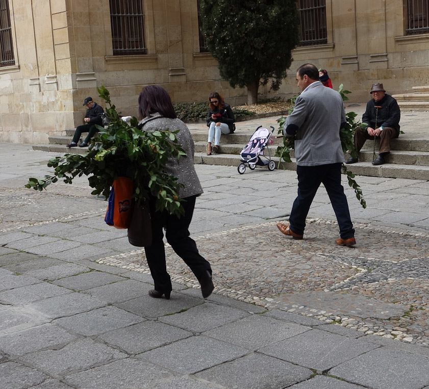 People had bunches of greenery, presumably to strew in front of a procession during Palm Sunday, repeating the earlier event when Jesus entered Jerusalem.