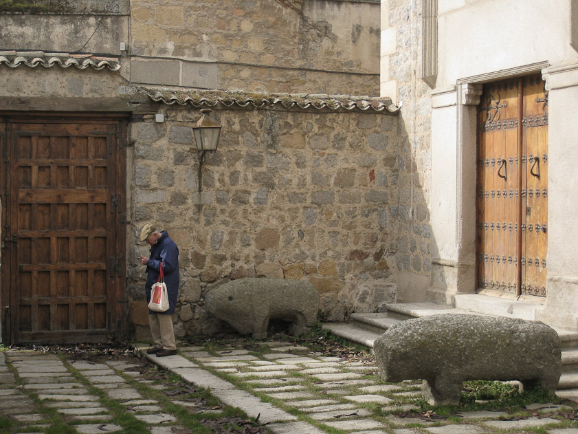 Me with a couple of verracos, crude representations of bulls and pigs that are characteristic of the Vettones, the inhabitants of Ávila preceding the Roman era (200 BC - 400 AD)