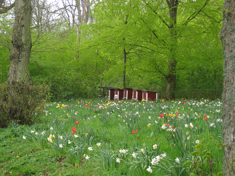 Bee hives and field flowers at Bosjökloster