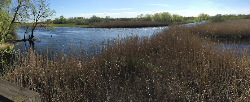 Downtown Kristianstad is two blocks from this bucolic stream, the Helge River.