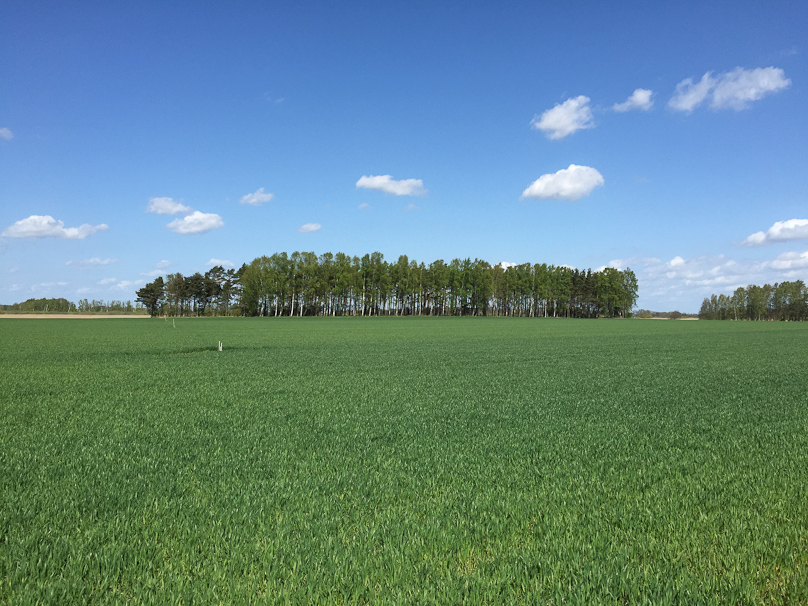 The farm fields south of Kristianstad were beautiful.