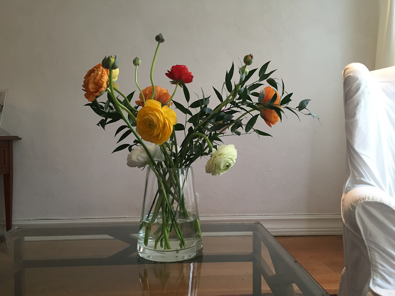 Mariana found a flower shop near our hotel in Malmö.