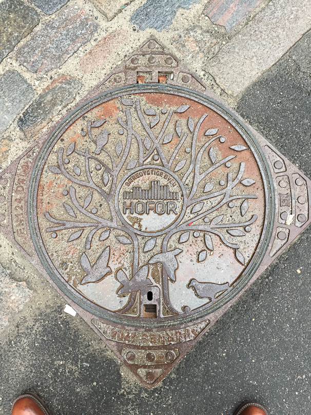 Copenhagen manhole cover. 
